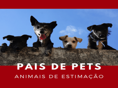 Pets em Angola.